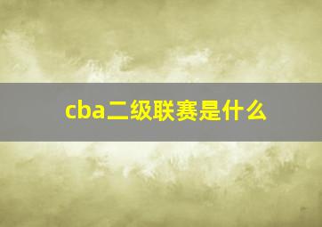 cba二级联赛是什么