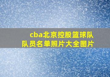 cba北京控股篮球队队员名单照片大全图片