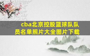 cba北京控股篮球队队员名单照片大全图片下载