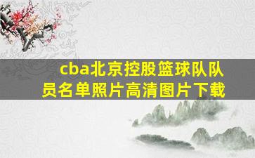 cba北京控股篮球队队员名单照片高清图片下载