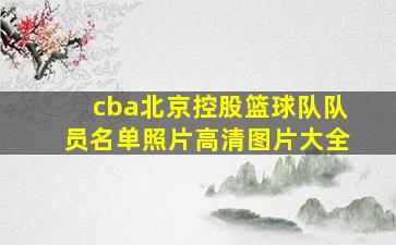 cba北京控股篮球队队员名单照片高清图片大全