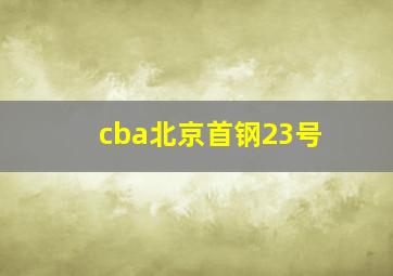 cba北京首钢23号