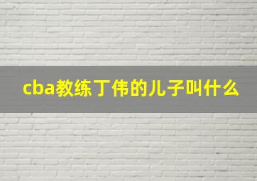 cba教练丁伟的儿子叫什么