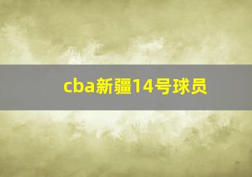 cba新疆14号球员