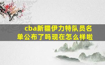 cba新疆伊力特队员名单公布了吗现在怎么样啦