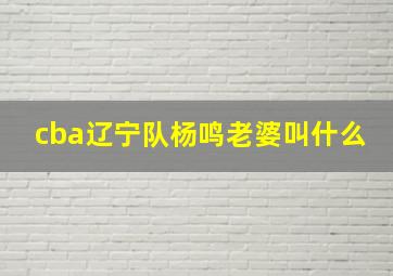 cba辽宁队杨鸣老婆叫什么