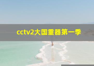 cctv2大国重器第一季