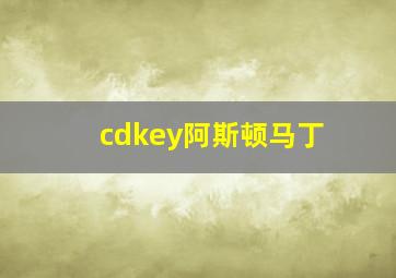 cdkey阿斯顿马丁