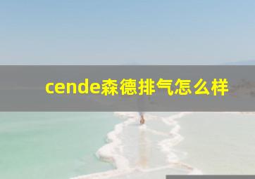 cende森德排气怎么样