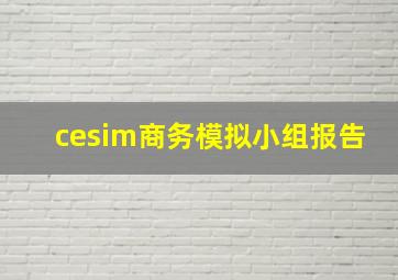 cesim商务模拟小组报告