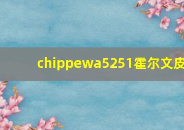 chippewa5251霍尔文皮