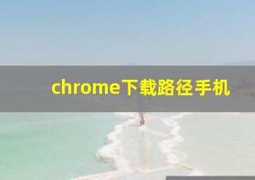 chrome下载路径手机