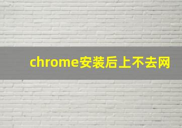 chrome安装后上不去网