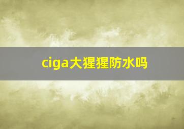 ciga大猩猩防水吗