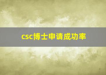 csc博士申请成功率