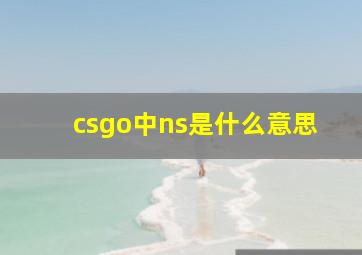 csgo中ns是什么意思