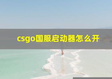 csgo国服启动器怎么开