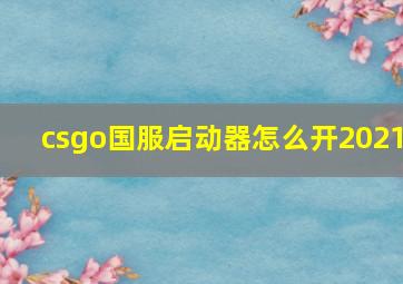 csgo国服启动器怎么开2021