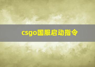 csgo国服启动指令