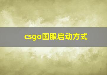 csgo国服启动方式