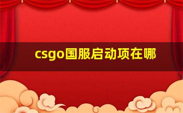 csgo国服启动项在哪