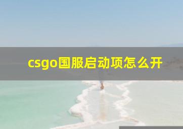 csgo国服启动项怎么开