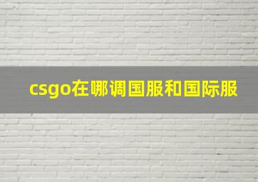 csgo在哪调国服和国际服