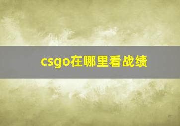 csgo在哪里看战绩