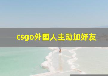 csgo外国人主动加好友