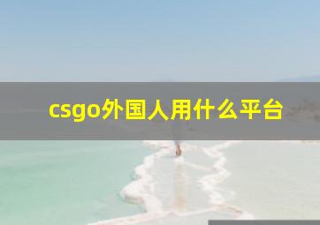 csgo外国人用什么平台