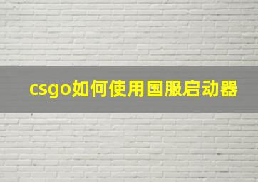 csgo如何使用国服启动器