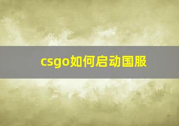 csgo如何启动国服