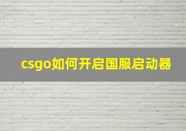 csgo如何开启国服启动器