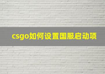 csgo如何设置国服启动项