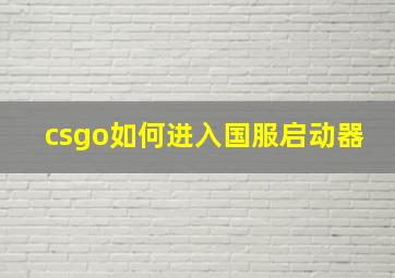 csgo如何进入国服启动器