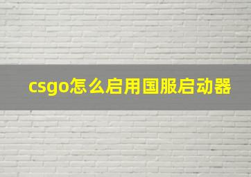 csgo怎么启用国服启动器