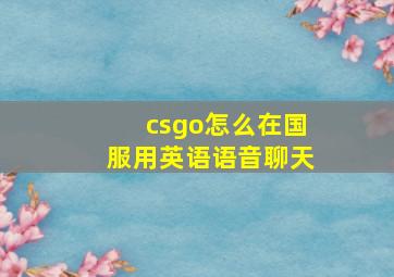 csgo怎么在国服用英语语音聊天