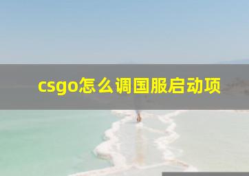 csgo怎么调国服启动项