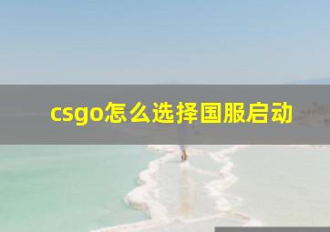 csgo怎么选择国服启动