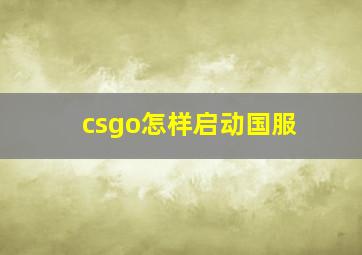 csgo怎样启动国服