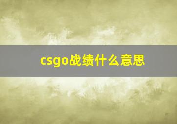 csgo战绩什么意思