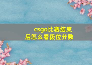 csgo比赛结束后怎么看段位分数