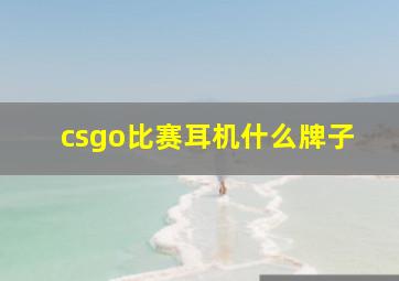 csgo比赛耳机什么牌子