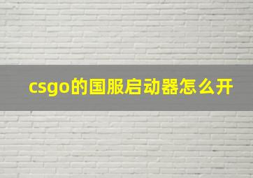 csgo的国服启动器怎么开