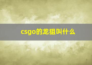 csgo的龙狙叫什么