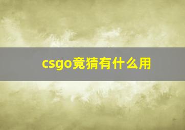 csgo竞猜有什么用