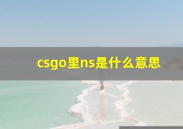 csgo里ns是什么意思