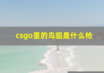 csgo里的鸟狙是什么枪