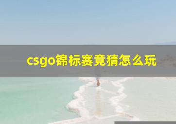 csgo锦标赛竞猜怎么玩