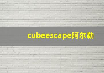 cubeescape阿尔勒